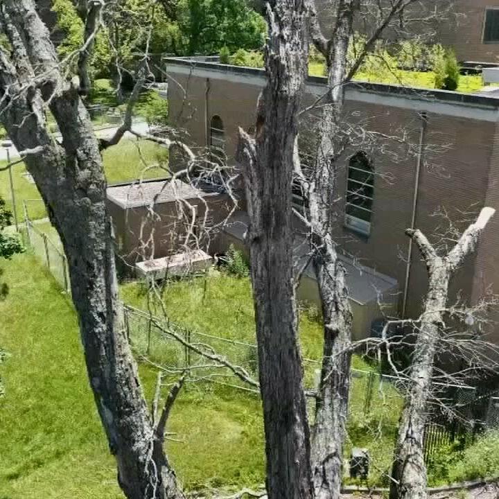 Neighborhood association asks for more input in Urban Government Center redevelopment